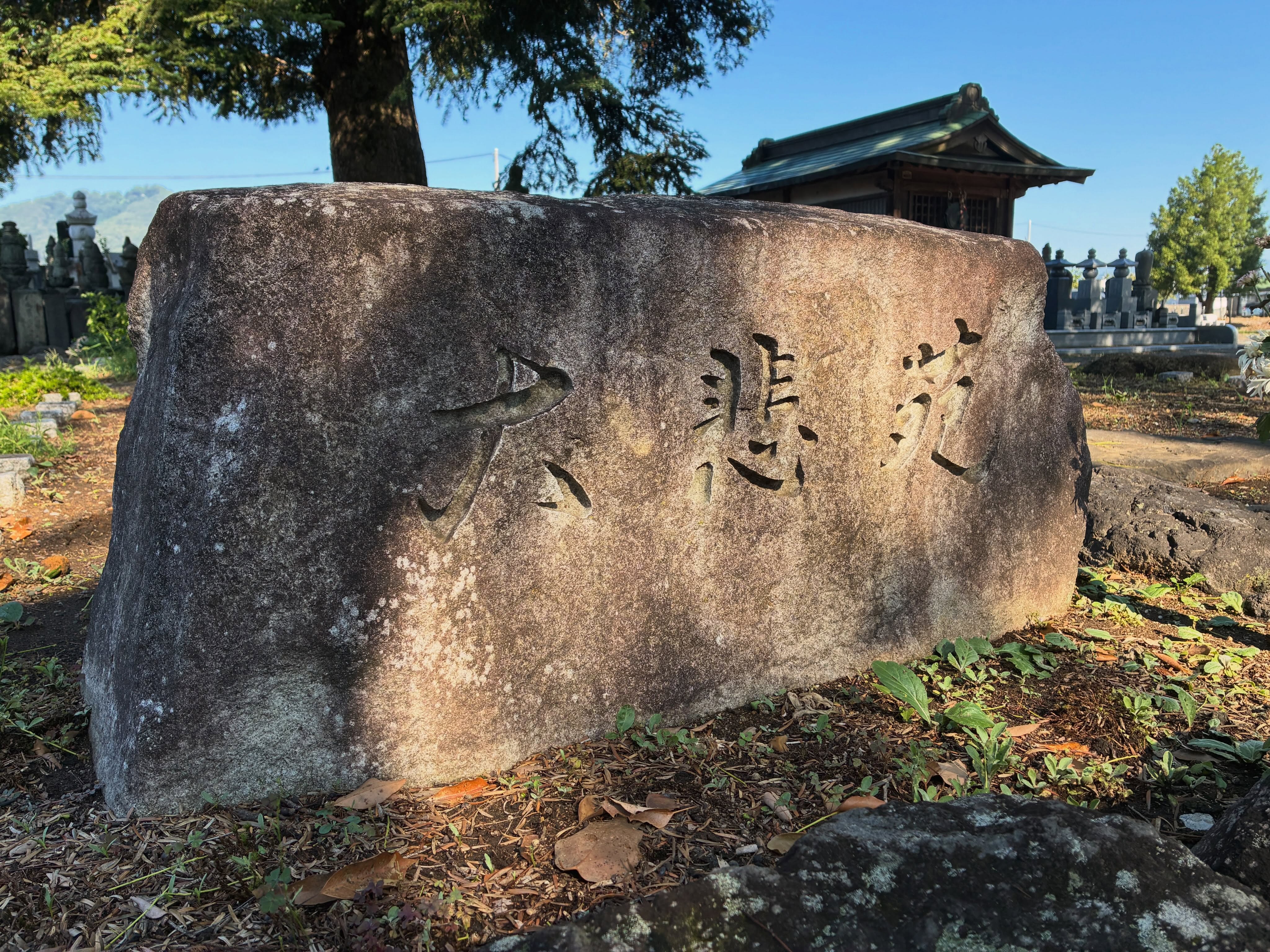 ←太田市の南光寺
■永代供養型樹木葬
先日、ご縁をいただき大切な御遺骨を永代供養型樹木葬へ埋葬
ご供養させていただきました。
@nankouji
#群馬県太田市
#佛修山南光寺
#樹木葬
#永代供養
#供養
