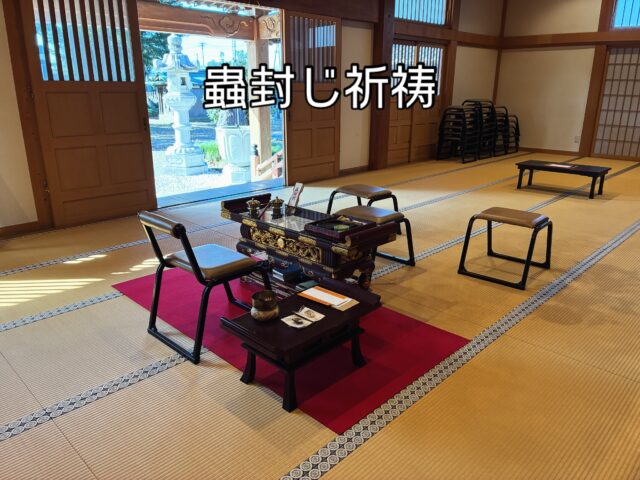 ←太田市の南光寺

■蟲封じ祈祷

本日、お子さまの健やかな成長を心込めて祈祷させていただきました。

@nankouji 

#群馬県太田市
#佛修山南光寺
#高野山真言宗
#蟲封じ
#祈祷